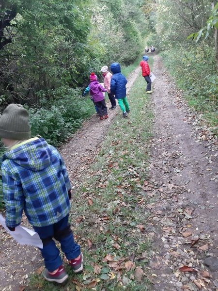 Procházka k lesu a sběr ořechů 8.10.2019 - Image 9