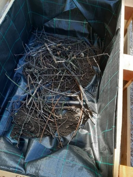 Bosá zahradní slavnost &#8211; 19. 9. 2019 - Image 13