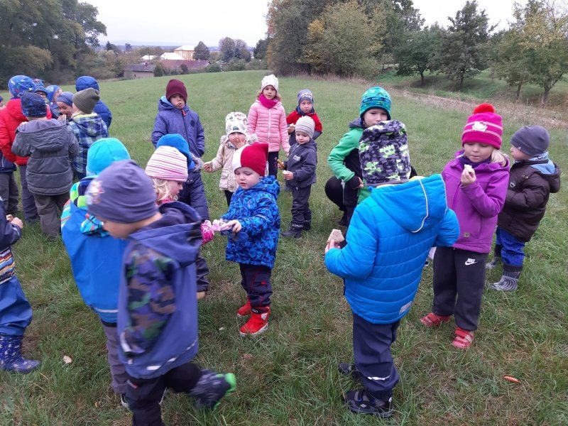 Procházka k lesu a sběr ořechů 8.10.2019 - Image 10