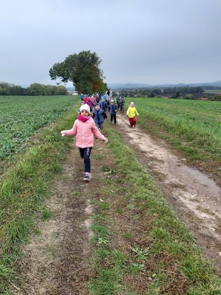 Procházka k lesu a sběr ořechů 8.10.2019 - Image 12