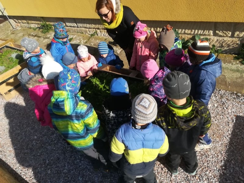 První sklizeň ředkviček 31.10.2019 - Image 16