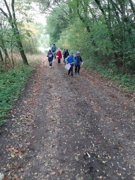 Procházka k lesu a sběr ořechů 8.10.2019 - Image 13