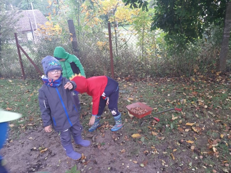Procházka k lesu a sběr ořechů 8.10.2019 - Image 14