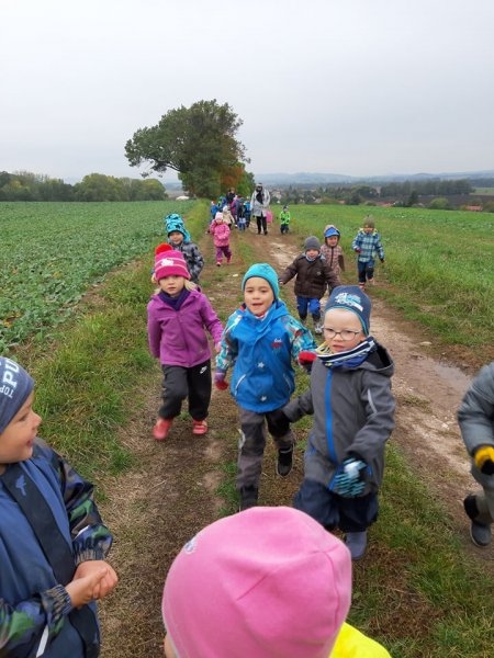 Procházka k lesu a sběr ořechů 8.10.2019 - Image 2