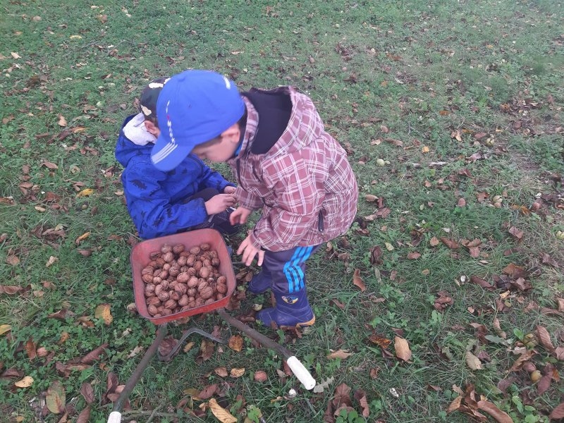 Procházka k lesu a sběr ořechů 8.10.2019 - Image 17