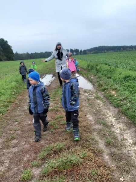 Procházka k lesu a sběr ořechů 8.10.2019 - Image 3