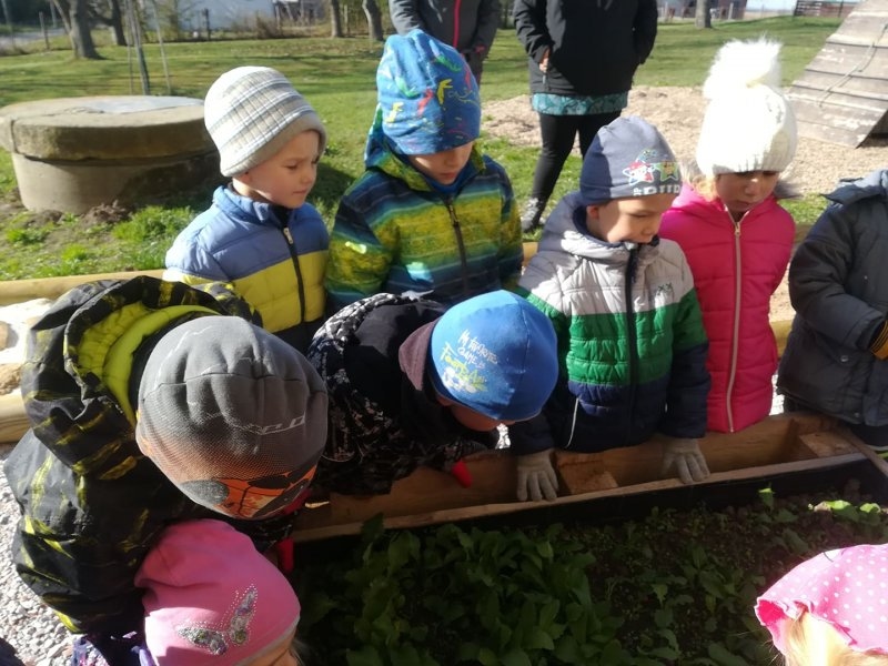 První sklizeň ředkviček 31.10.2019 - Image 5