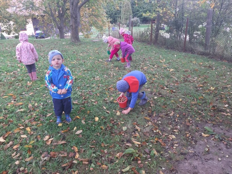 Procházka k lesu a sběr ořechů 8.10.2019 - Image 5