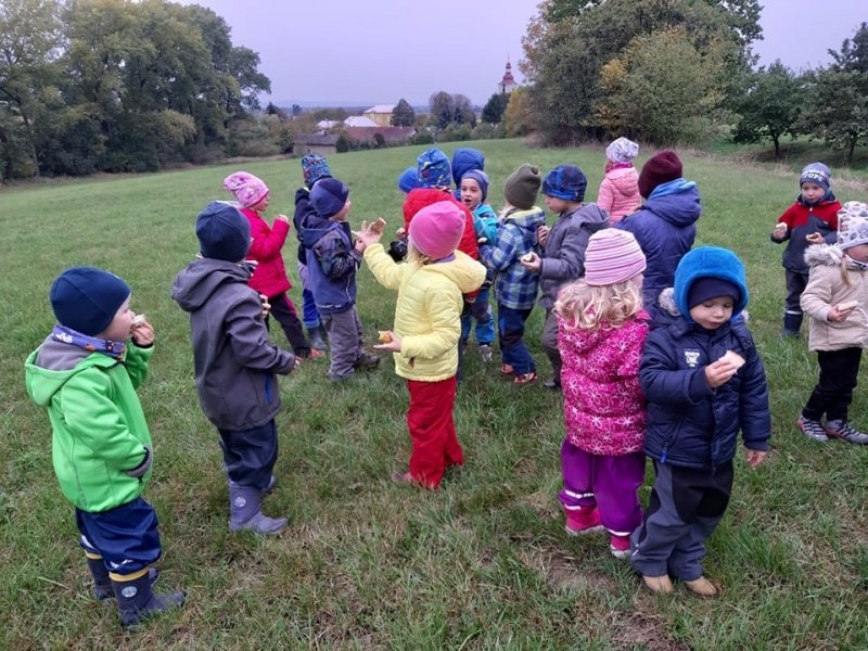 Procházka k lesu a sběr ořechů 8.10.2019 - Image 6
