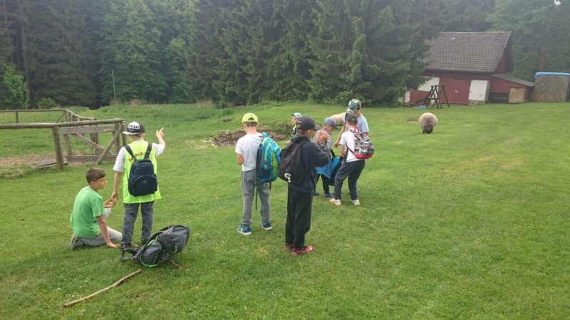 Škola v přírodě &#8211; středa 16.5.2018 - Image 3