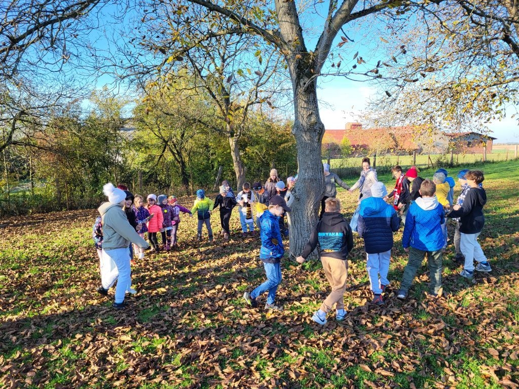 Podzim u nás ve škole