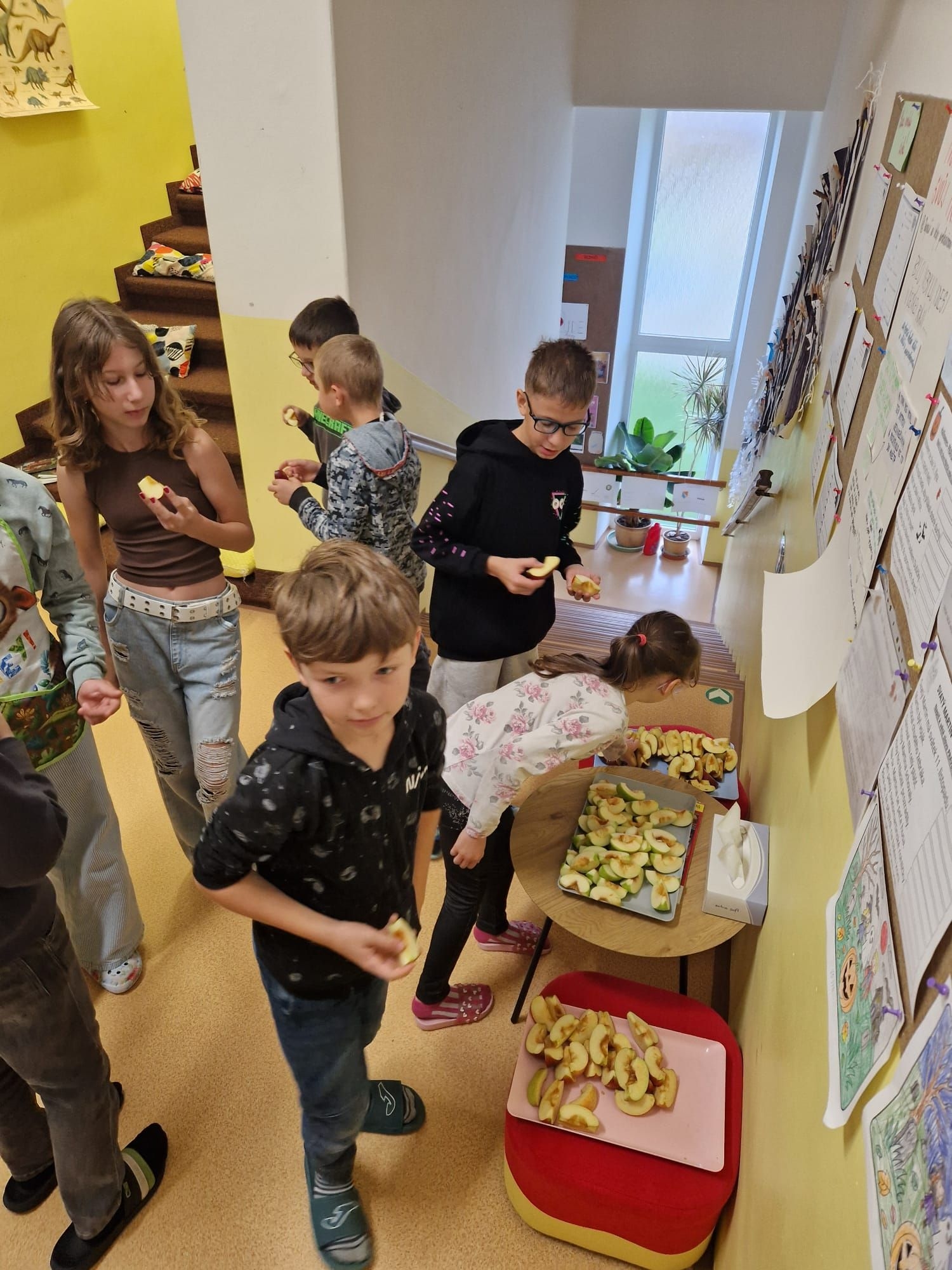 Ovoce do škol - Ochutnávka jablíček