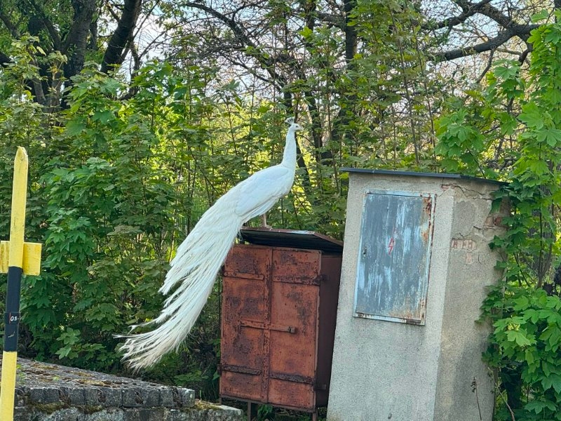 Výlet do Konecchlumí 2. 5. 2024 - Image 9