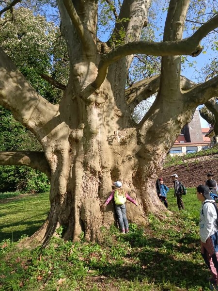 Výlet do Konecchlumí 2. 5. 2024 - Image 11