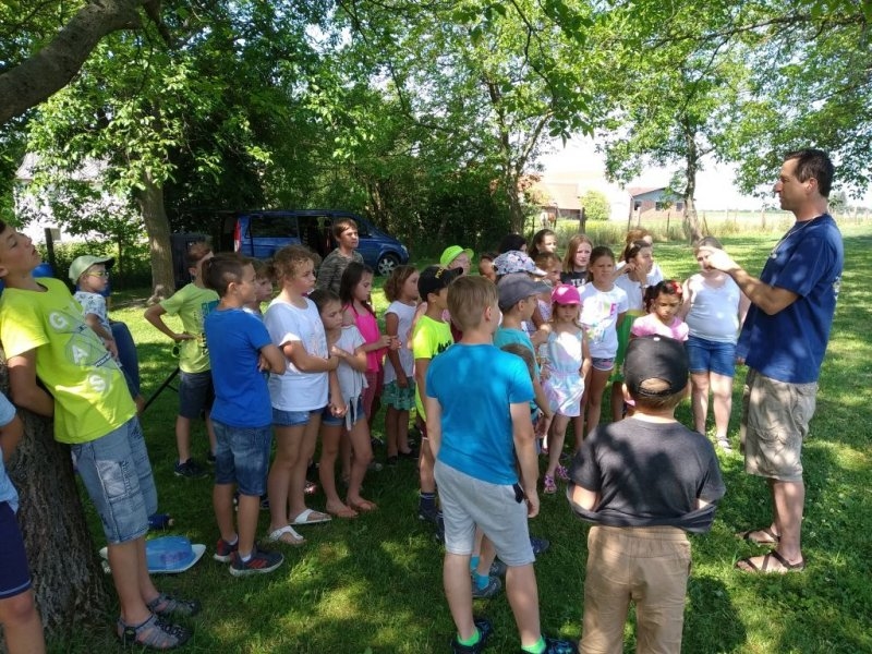 Bubenická dílna 19. 6. 2019 - Image 1