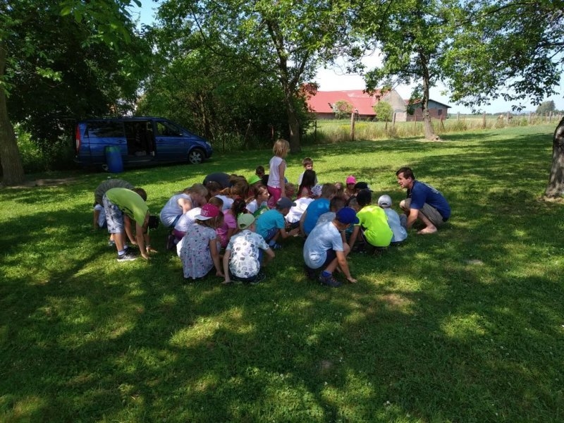 Bubenická dílna 19. 6. 2019 - Image 11