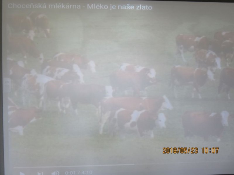 Mléko do škol – Doprovodné opatření – květen 2018 - Image 5