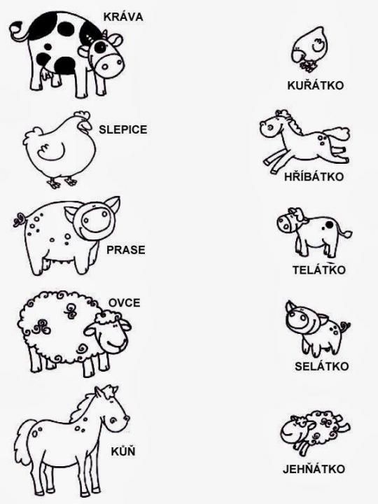 Zvířátka a jejich mláďátka – Aktivity pro děti od 22. 3. do 26. 3. 2021