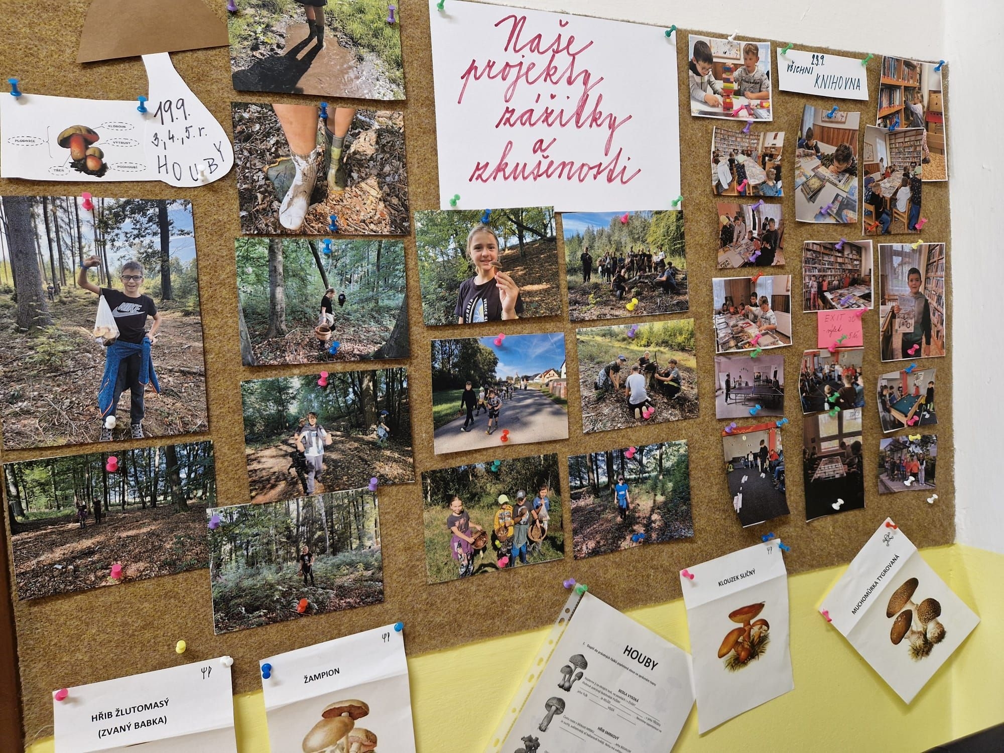 Podzim u nás ve škole